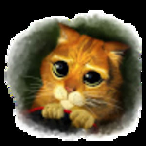 Meet your Posher, Cheshire